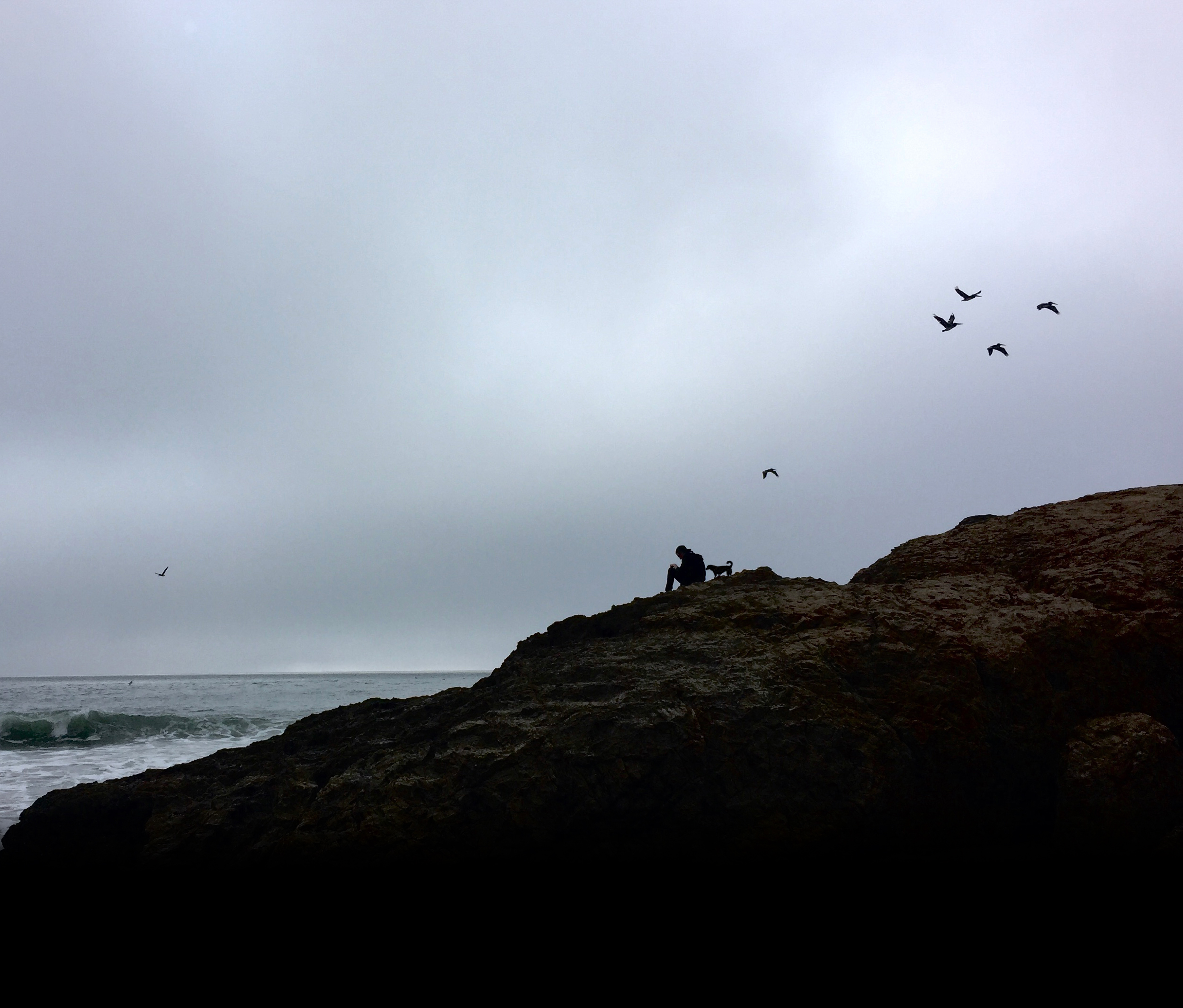 Overcast ocean with rocky outcrop and birds in flight